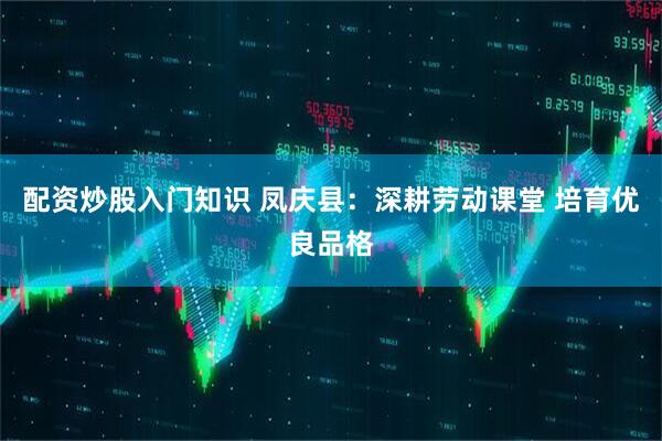 配资炒股入门知识 凤庆县：深耕劳动课堂 培育优良品格